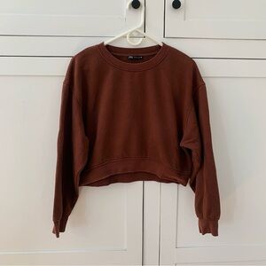 Zara Dark Chocolate Crop Long Sleeve Crew Neck Size Large